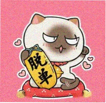 用户南岸的头像